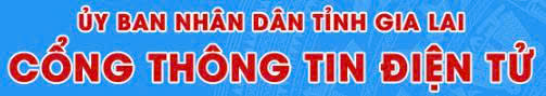 Công thông tin
